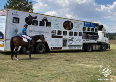 Horse Transport Services Midrand