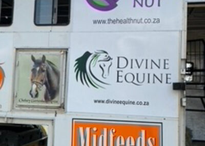 Horse transport services South Africa