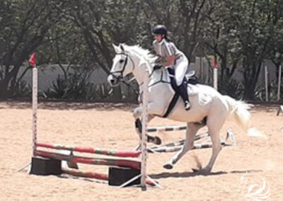 Training shows at Riba Stables in Kyalami