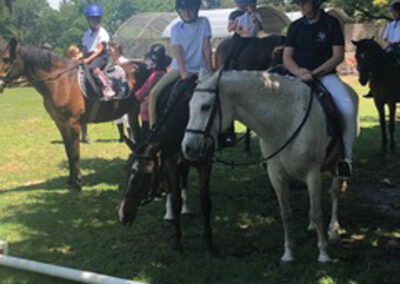 Training shows at Riba Stables in Kyalami