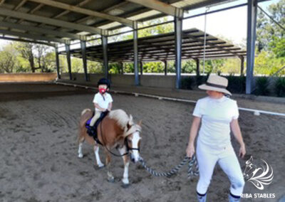 Training shows at Riba Stables in Kyalami