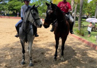 Training shows at Riba Stables in Kyalami