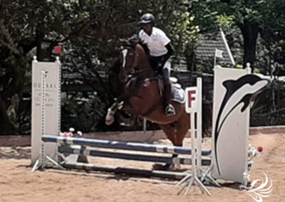 Training shows at Riba Stables in Kyalami