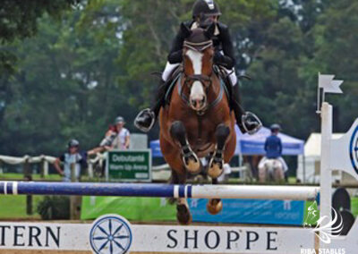 Riba Stables show jumping Kyalami