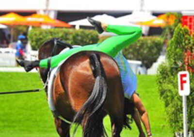 Vaulting at Riba Stables in Kyalami