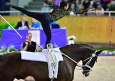 Vaulting at Riba Stables in Kyalami