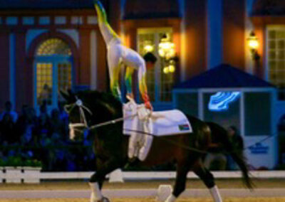 Vaulting at Riba Stables in Kyalami