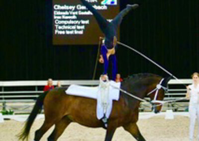 Vaulting at Riba Stables in Kyalami