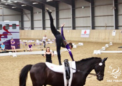 Vaulting at Riba Stables in Kyalami