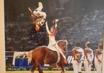 Vaulting at Riba Stables in Kyalami