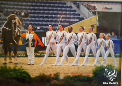 Vaulting at Riba Stables in Kyalami