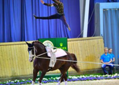 Vaulting at Riba Stables in Kyalami