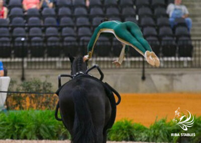 Vaulting at Riba Stables in Kyalami