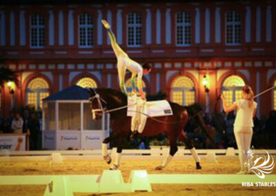 Vaulting at Riba Stables in Kyalami