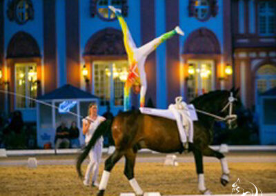 Vaulting at Riba Stables in Kyalami