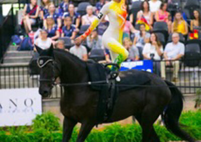 Vaulting at Riba Stables in Kyalami